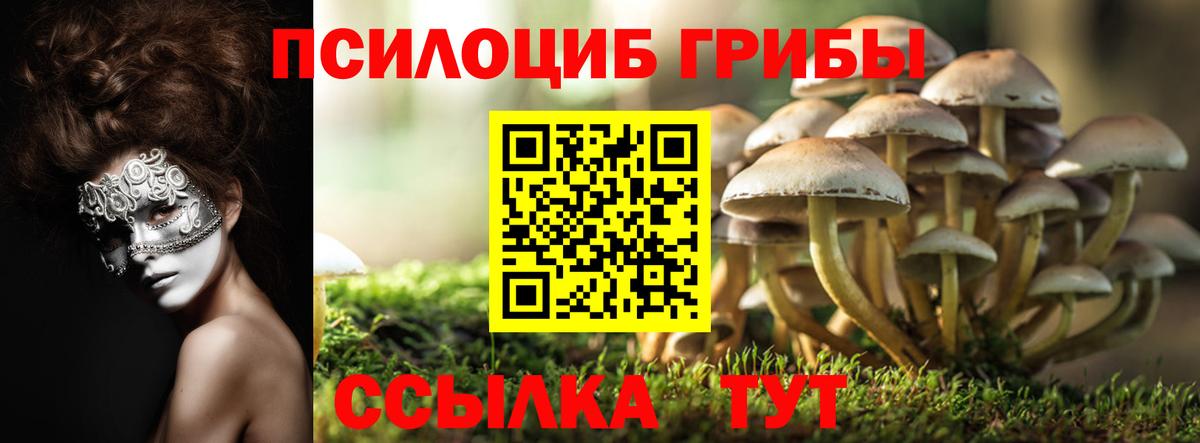 Галлюциногенные грибы Magic Shrooms  купить наркотики цена  Ставрополь  Вход с VPN 